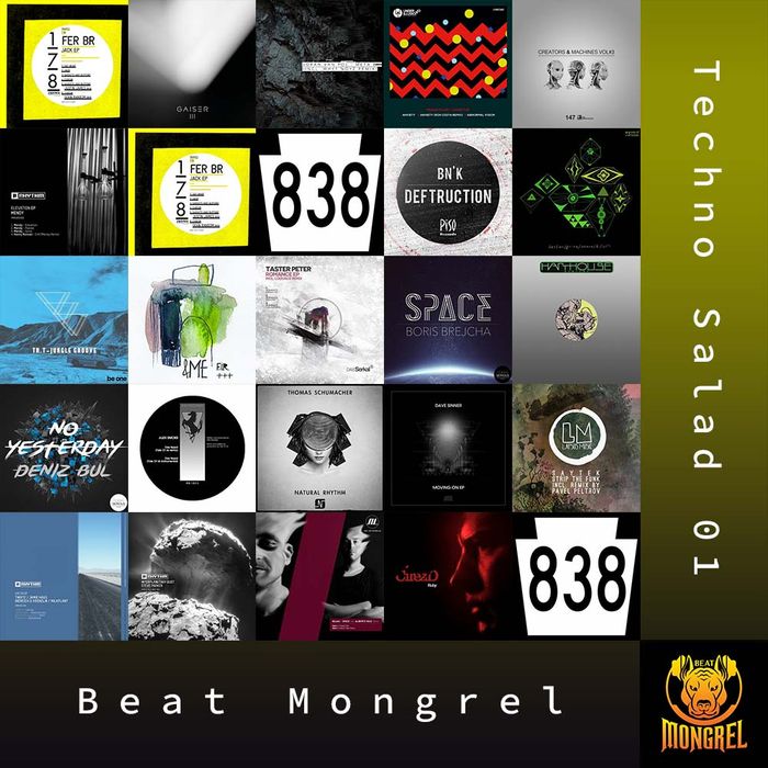 Techno Salad 01 artwork