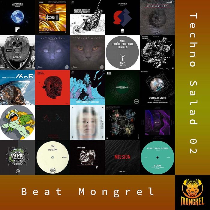 Techno Salad 02 artwork