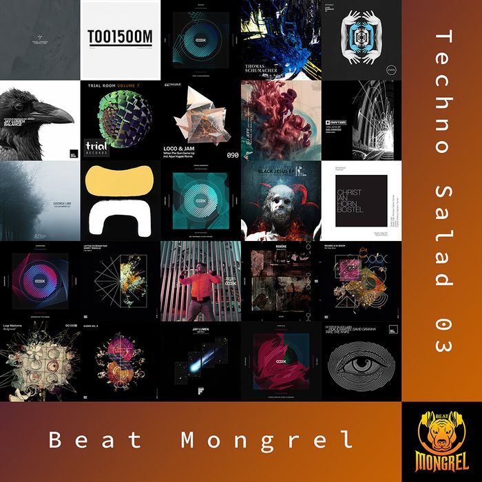 Techno Salad 03 artwork