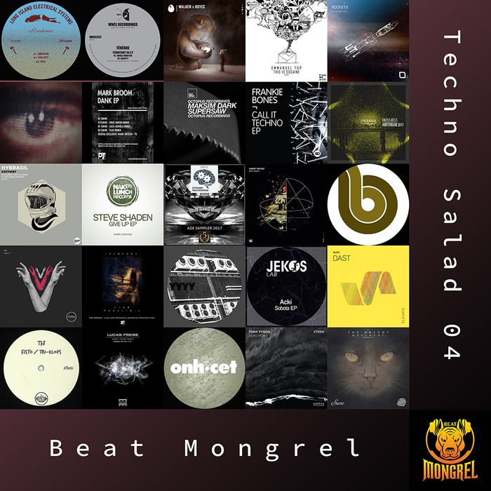 Techno Salad 04 artwork