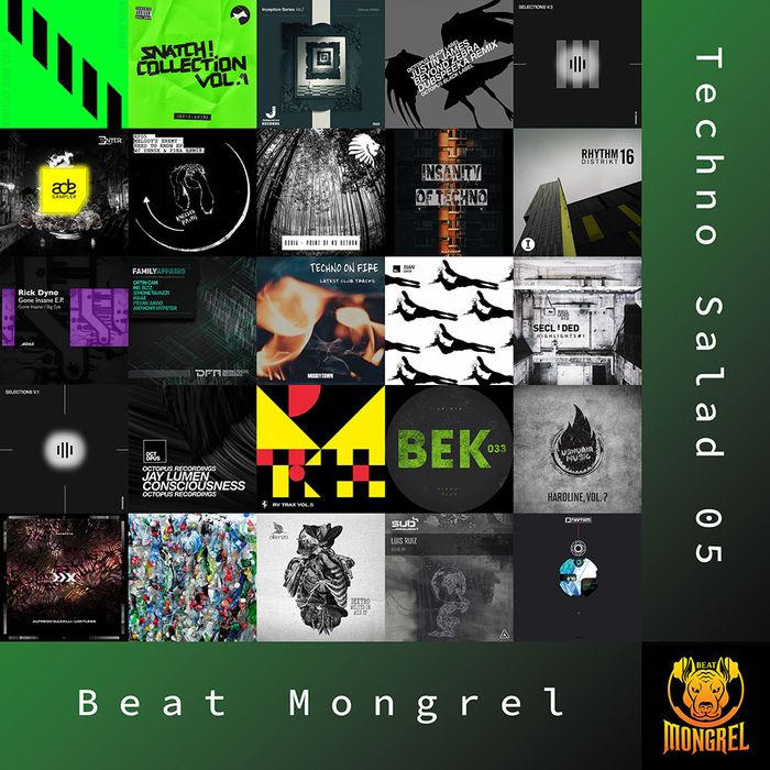 Techno Salad 05 artwork