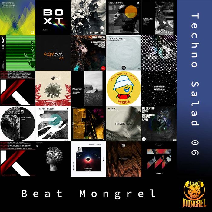 Techno Salad 06 artwork