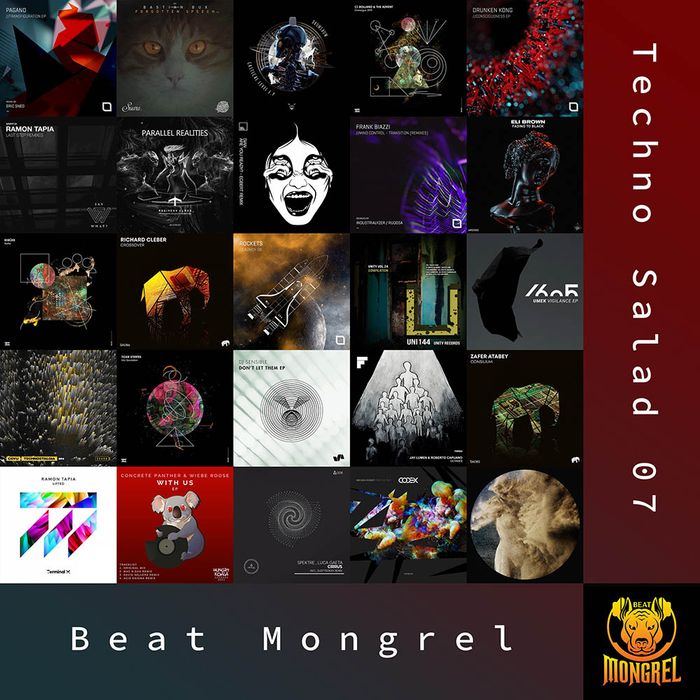 Techno Salad 07 artwork