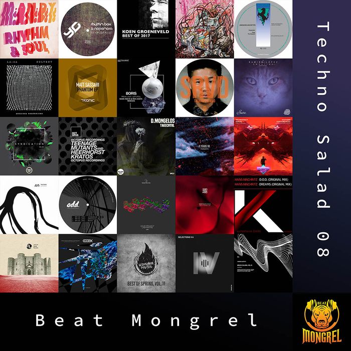 Techno Salad 08 artwork
