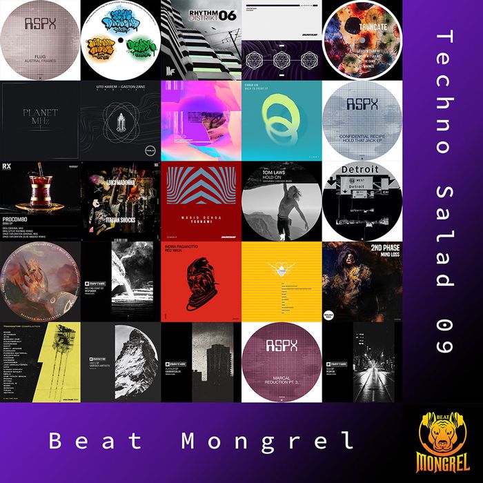 Techno Salad 09 artwork