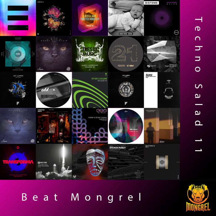 Techno Salad 11 artwork