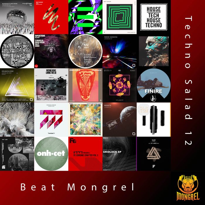 Techno Salad 12 artwork