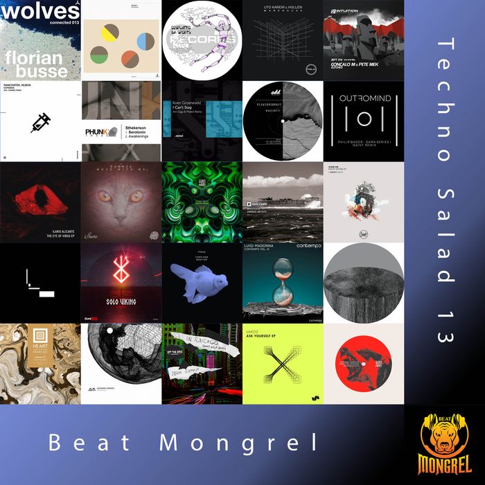 Techno Salad 13 artwork