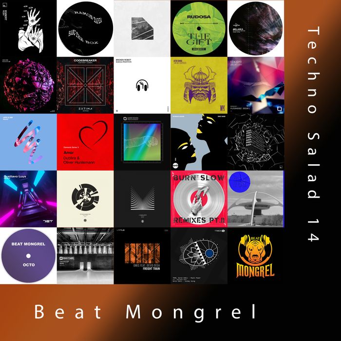 Techno Salad 14 artwork