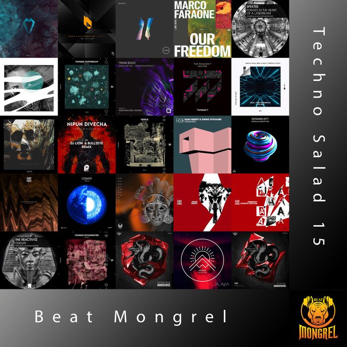 Techno Salad 15 artwork