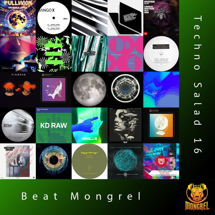 Techno Salad 16 artwork