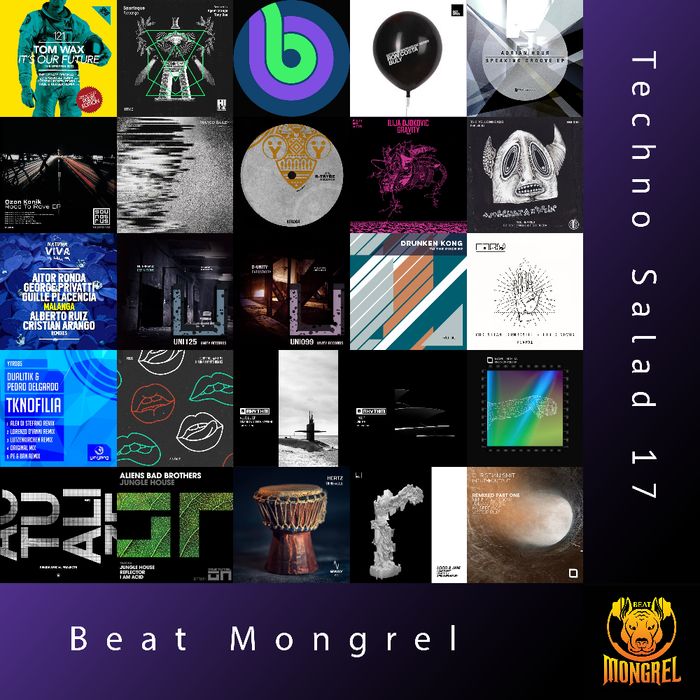 Techno Salad 17 artwork